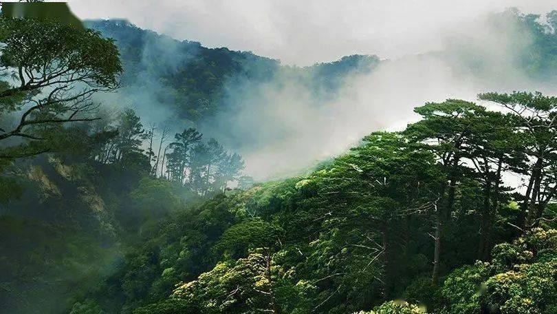 下周，郑州又将迎来雨雪天气